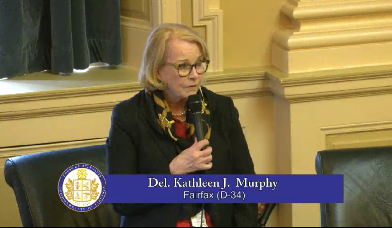 Delegate Kathleen Murphy talking from the floor